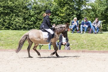 Bild 400 - Pony Akademie Turnier